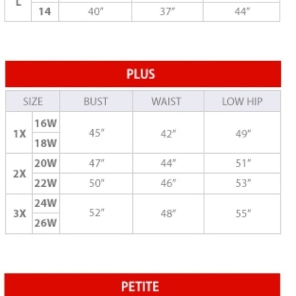 Champion Plus Classic Tee, Brush Stroke Script Logo Black 2X - Picture 6 of 9